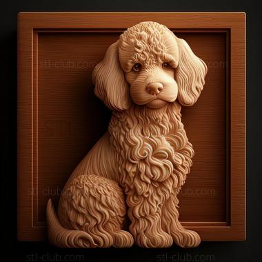 3D model st Boy poodle famous animal (STL)